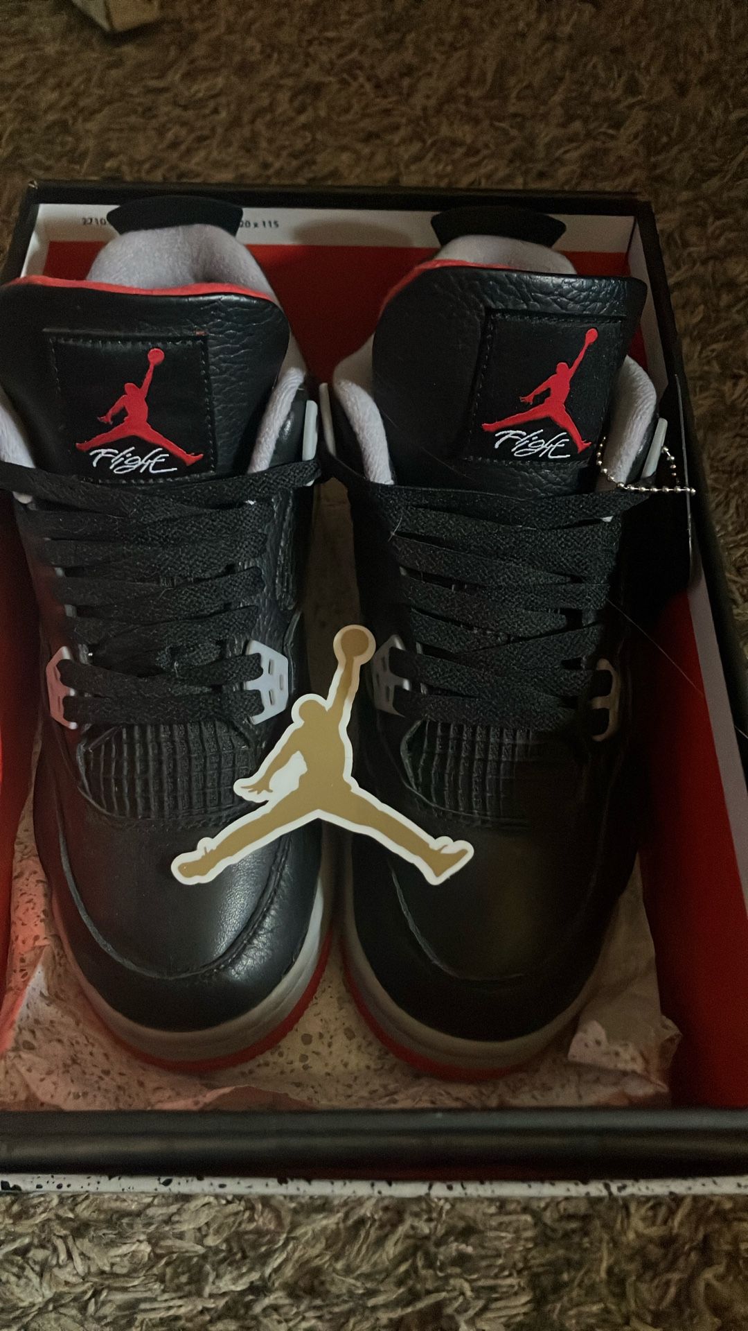 JORDAN 4s size 7 Read Description