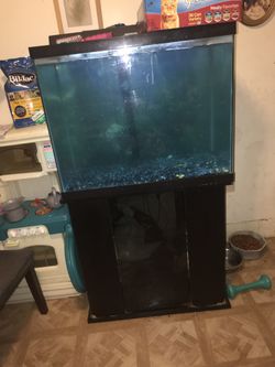 55 gallon tank