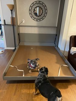 Murphy Bed