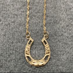 10k Yellow Gold Horseshoe Necklace