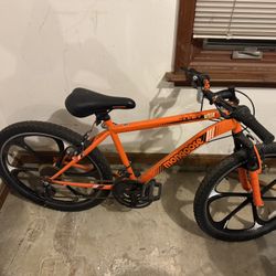 Moongose Boys Bike