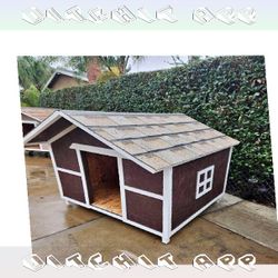 Outdoor Pet Houses - Reliable Homes for Cheerful Pets onto bed