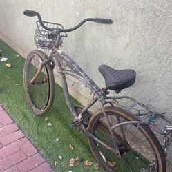 Beach Cruiser Bike 