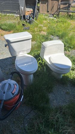 Free toilets