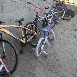 6 Bicicletas 6 Bikes 