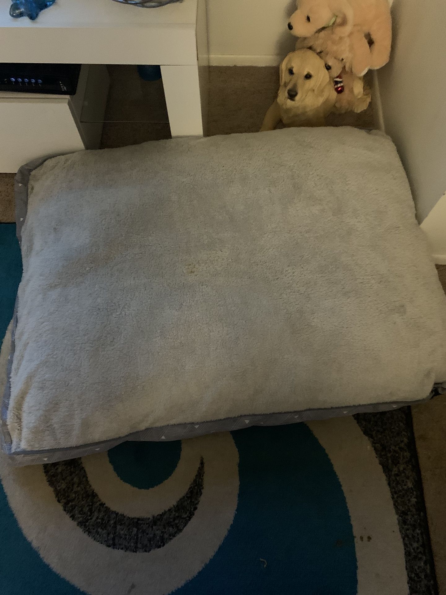 Large DOG BED  Never Used  