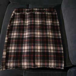 Knee Length Formal Skirt