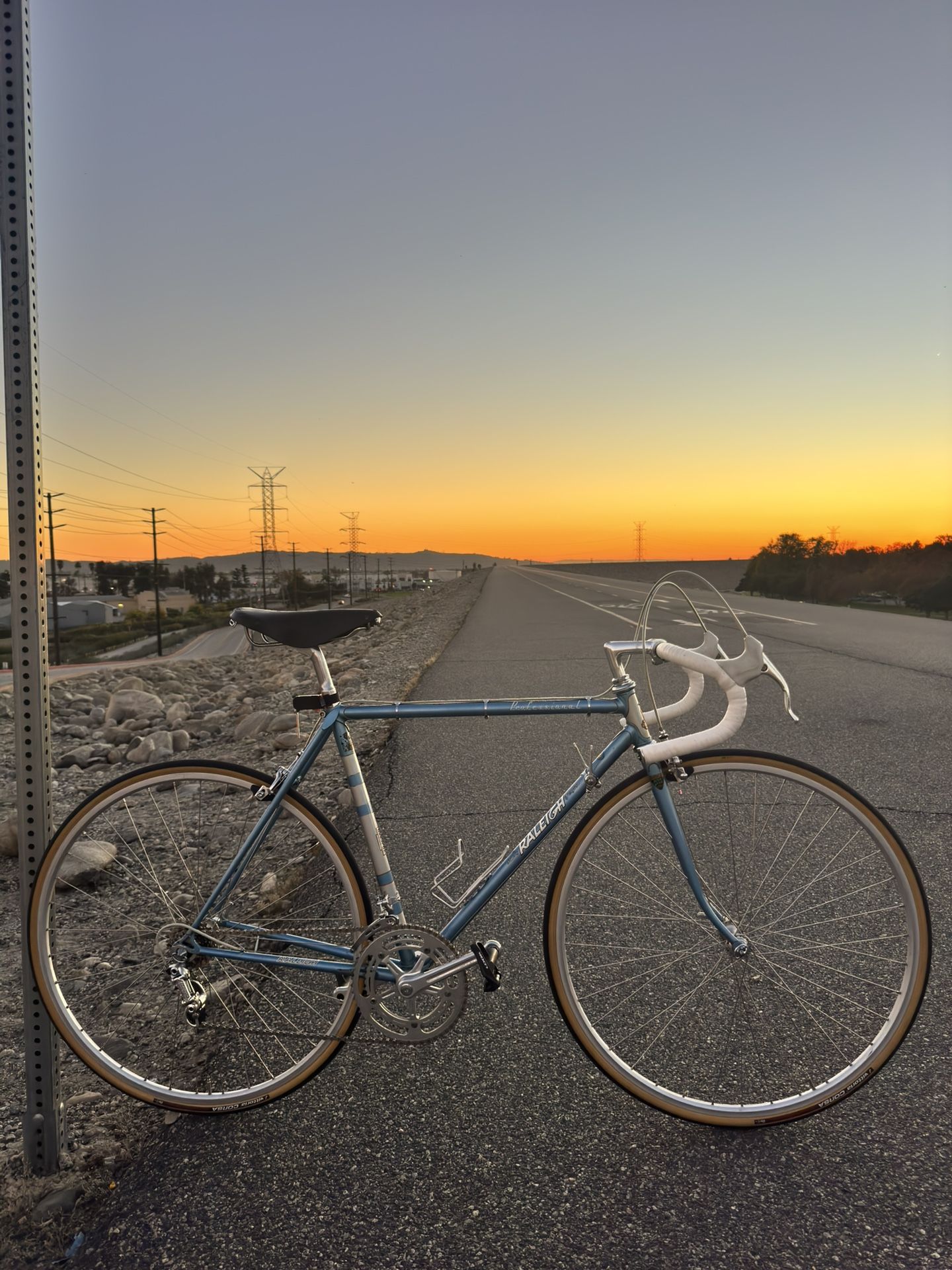 Vintage Raleigh Professional Road Bike