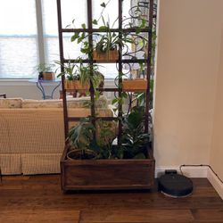 Wood hand made plant climbing frame
