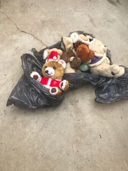 Free stuffed animal toys