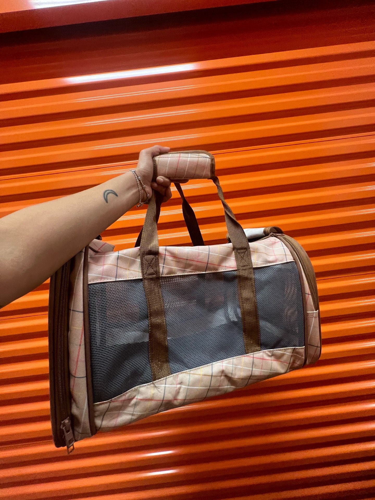 (Small) Travel Dog Carrier