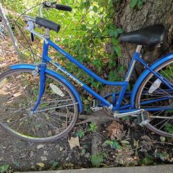 SCHWINN BICYCLE 🚲