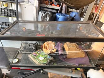 Glass Reptile Tank with Screen Lid and Accessories