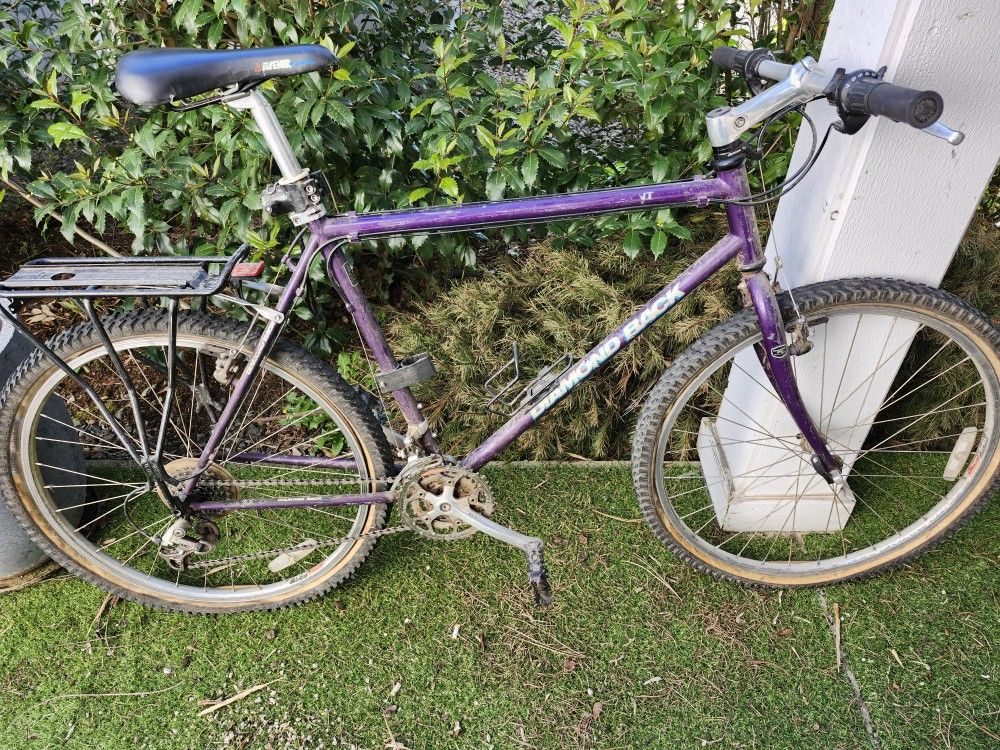 Diamond Back Mountain Bike