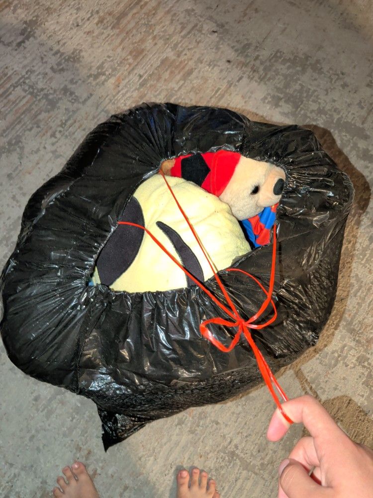 Whole Thing Of Stuffed Animals