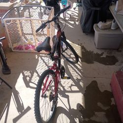 Shocker 24 Mountain Bike All Terrain