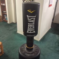 EverLast Punching Bag 