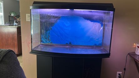 Fish Tank with Stand