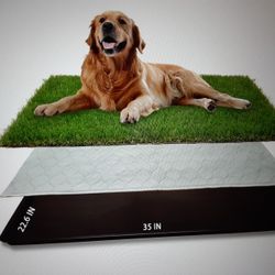Dog Training Grass Pee Pad and Tray