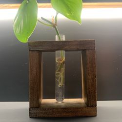 Handmade Propagation Starion Sungle Test Tube Plant Wood Dark College Dorm Gift Pothos Vine