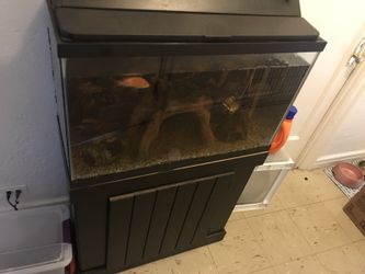 30 gallon fish tank with 4 fishes you must come pick up most I will do is lower the water level