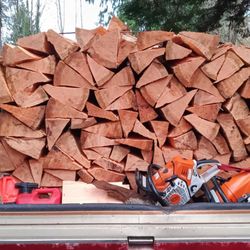 Dry Doug Fir 2 Year Standing Dry 