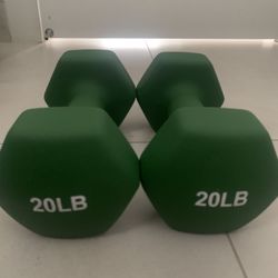 20 Lbs Neoprene Dumbbells