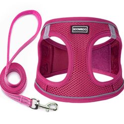 Harness And Leash Set XS
