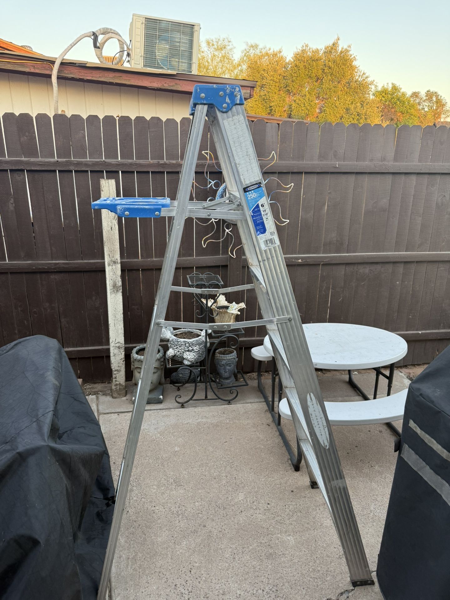 6 Foot Werner Step Ladder Tool