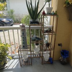 Plant Holder/Plants