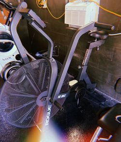 Rogue Echo Fan Bike