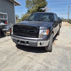 2009 Ford F-150