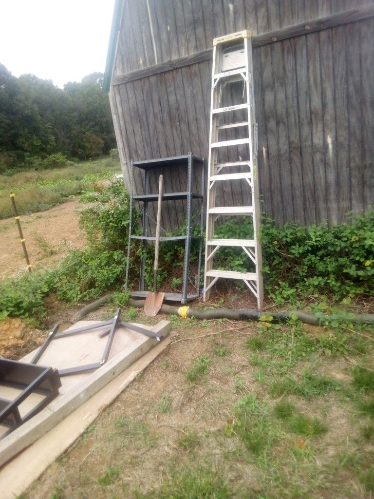 10 Ft Ladder
