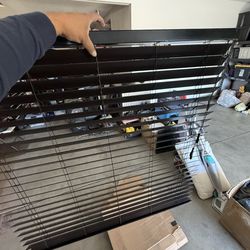 Blinded / dark brown