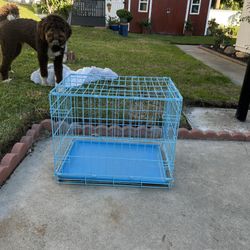 Small Dog Crate