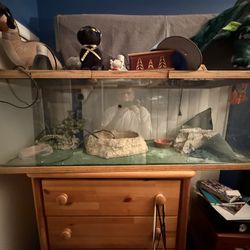 Reptile Tank  Full setup 