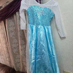 Elsa Dress Size 4 Or 5 Year Old. 20.00  57 Ave And Thomas