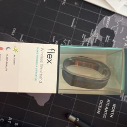 Fitbit Flex