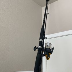 8ft Medium Heavy Fishing Rod Cambo 