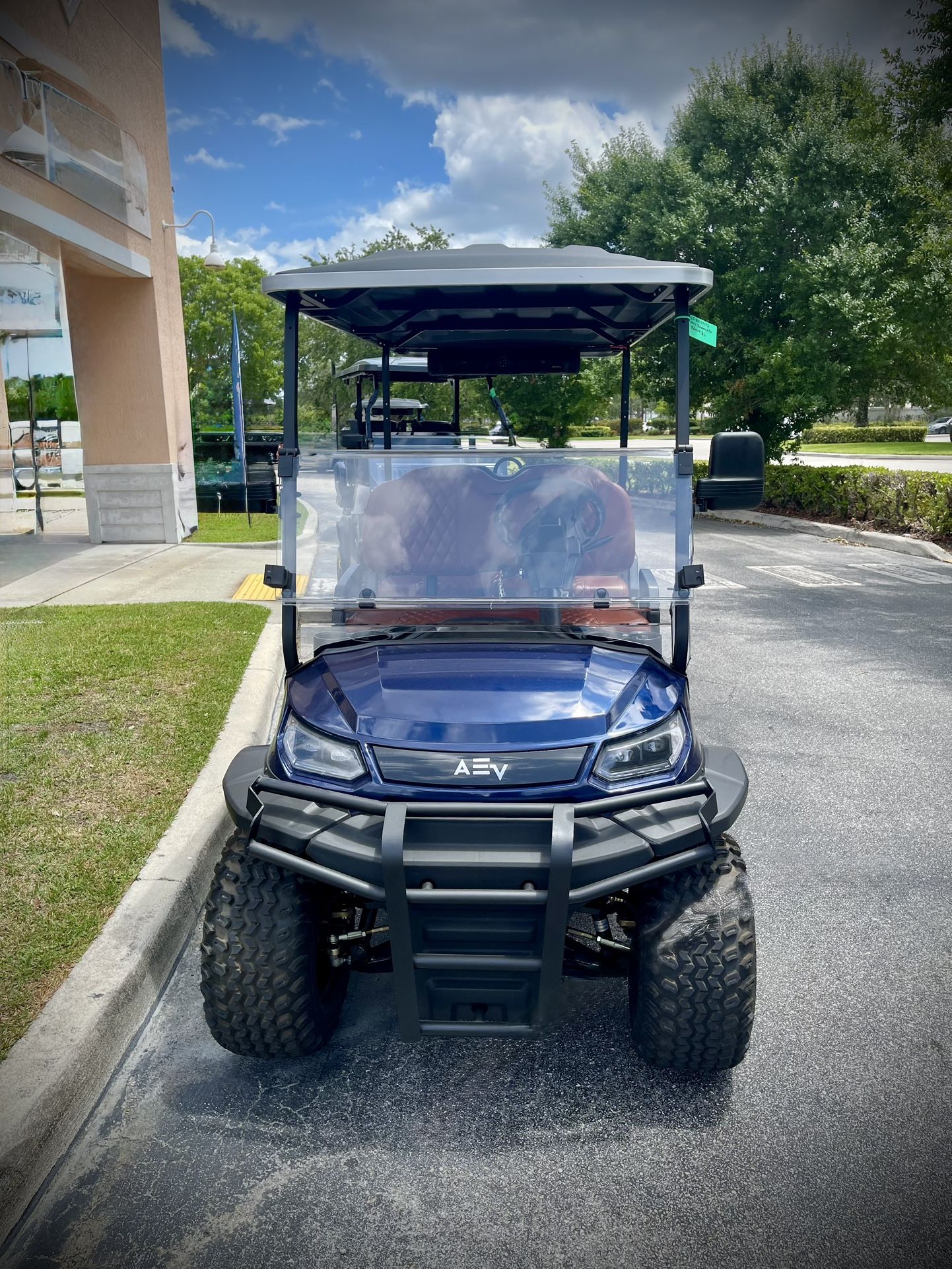 2024 Advanced EV Advant 6L Golf cart
