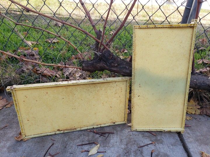 Beehive Plastic Frames