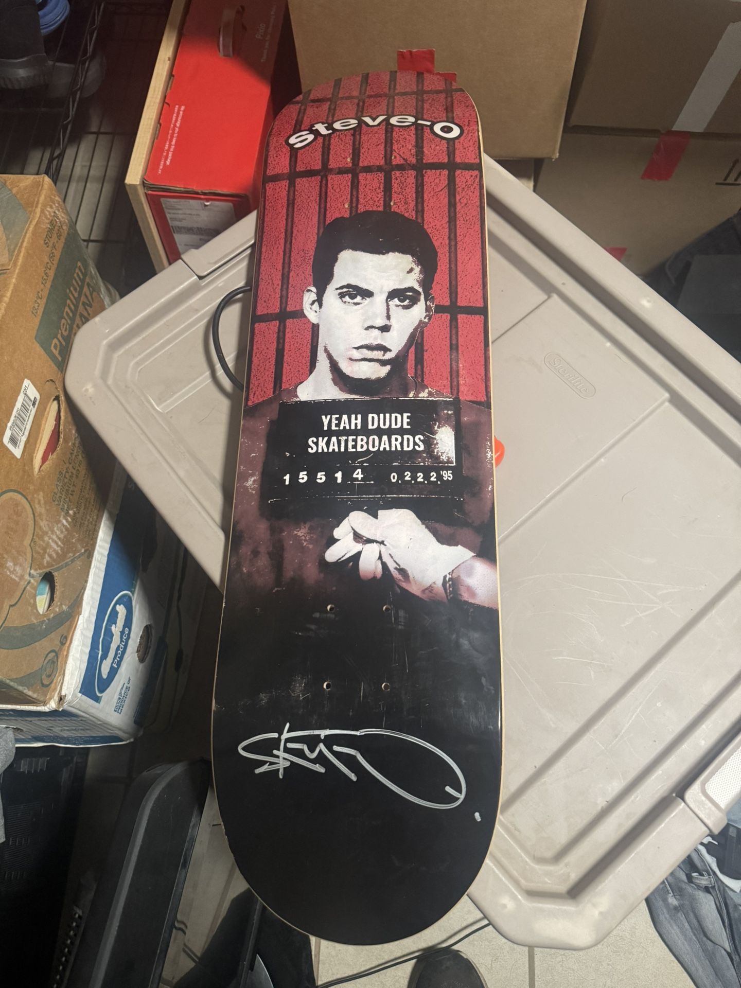 Autographed Steve O Skateboard Deck