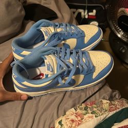 Blue Nike Dunks  Size 9