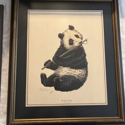 Vintage Guy Coheleach "Panda & Koala Signed Framed Prints