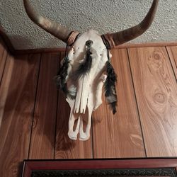 Bison Skull 