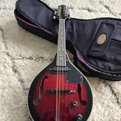 Acoustic-electric mandolin