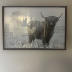 Cow Picture 