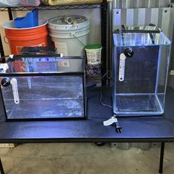 5 Gallon Aquariums : Tank  