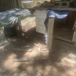 Dog House w/heater & Crate Plus Doggy Pillow