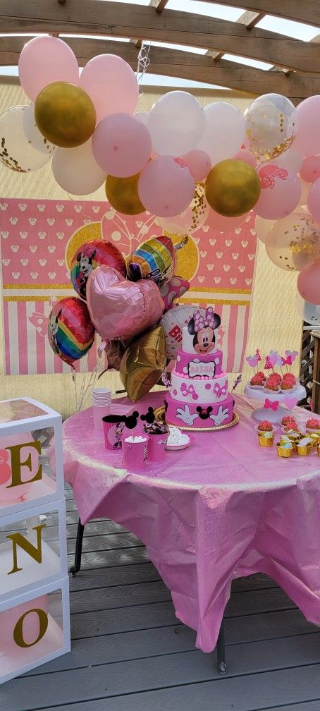 Birthday Fake(Cake ) Girl  Mouse 